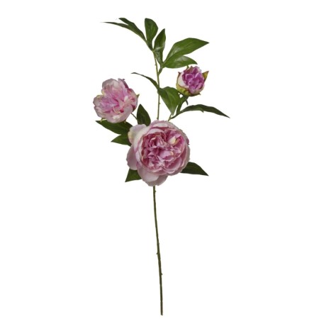 Peonia ramo 3 steli h80 cm Pink